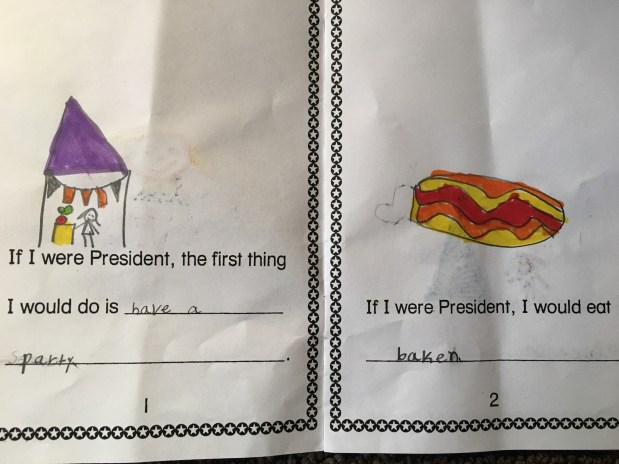 3.6.17 Reece for President