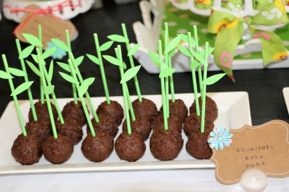 5.7.17 Reece's 7th Bday Garden Party! (188).JPG