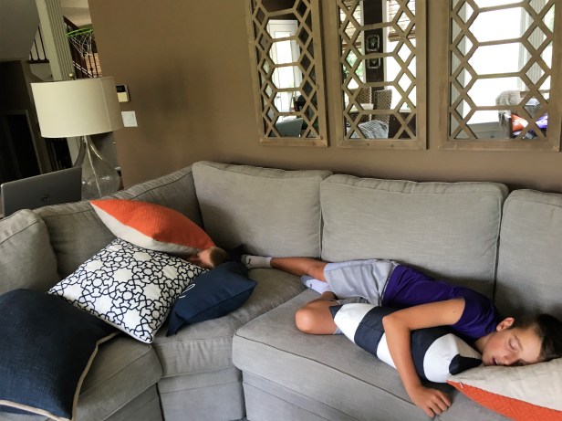 8.3.17 Post campout nap