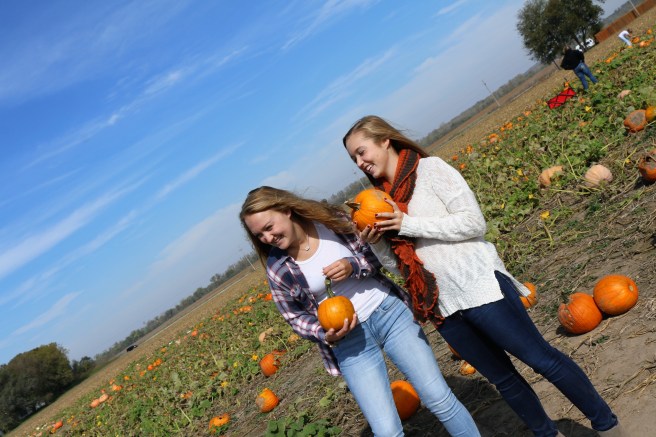 10.20.17 Pumpkin Patch (40)