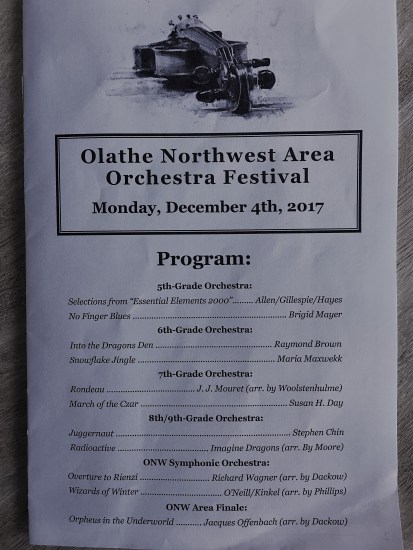 12.4.17 Mo ONW Area Orchestra Festival (4)