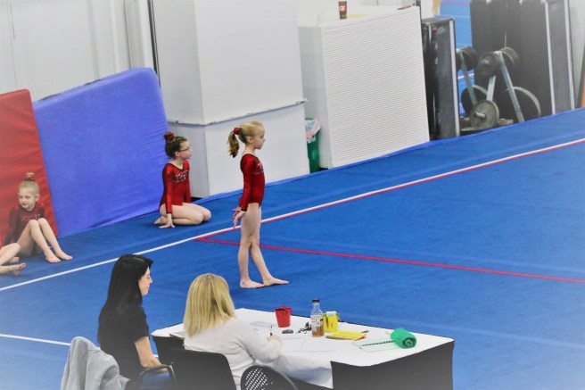 2.11.18 Reece Level 3_GAGE Dragon Meet (19)