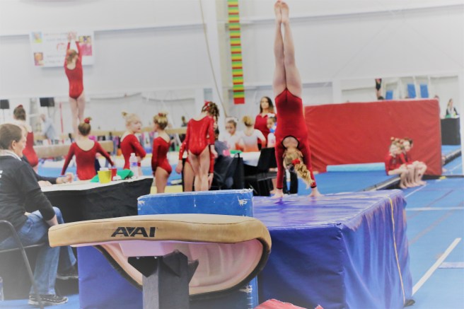 2.11.18 Reece Level 3_GAGE Dragon Meet (6)