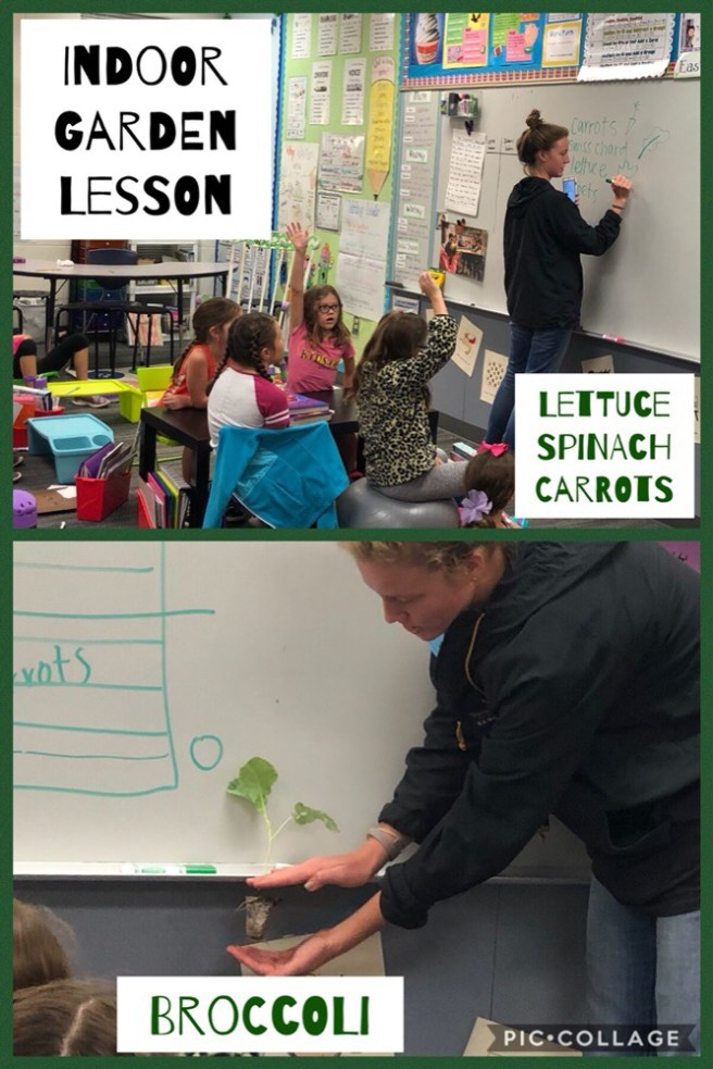 8.30.18 Reece 3GR Gardens (1)