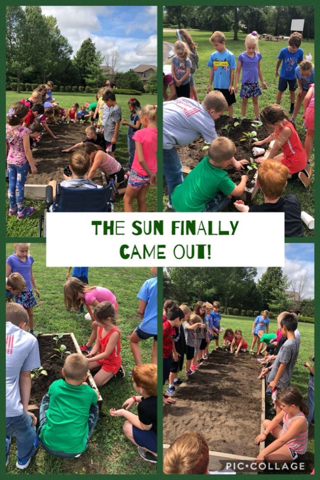 8.30.18 Reece 3GR Gardens (2)