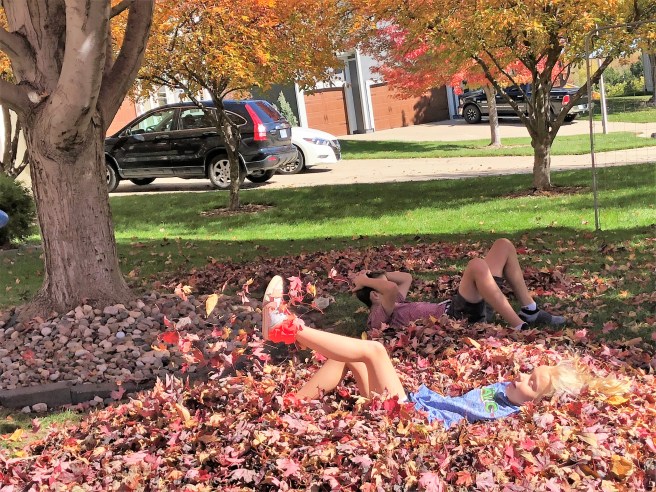 10.27.18 Fall Leaves! (2)