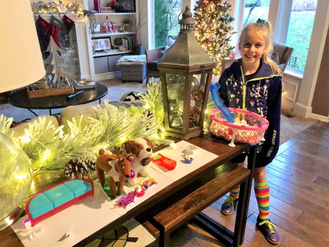 12.2.18 Reece's Elf Pet Habitat