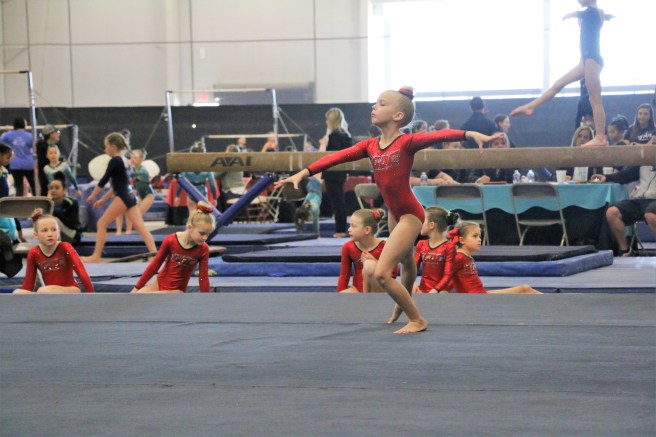 3.17.19 State Meet_FX 9.225 (4)