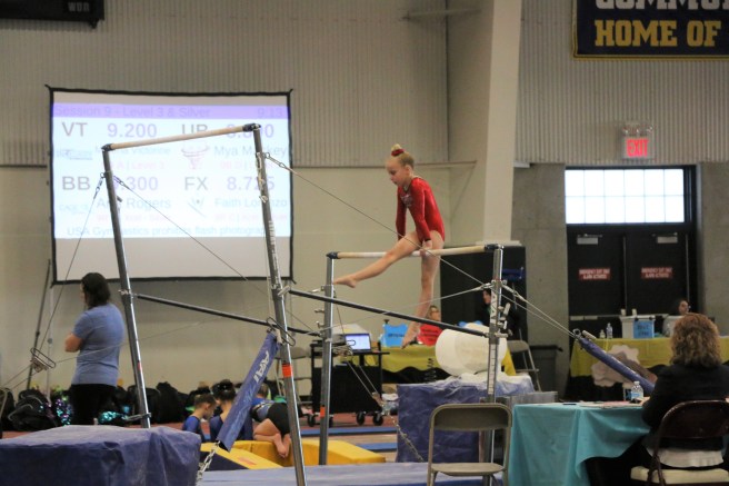 3.17.19 State Meet_UB 9 (5)