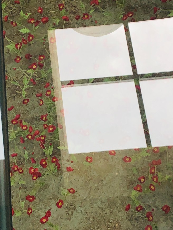 3.28.19 Mo10GR AP Euro Field Trip_WWI &amp; Nelson Museums (14)