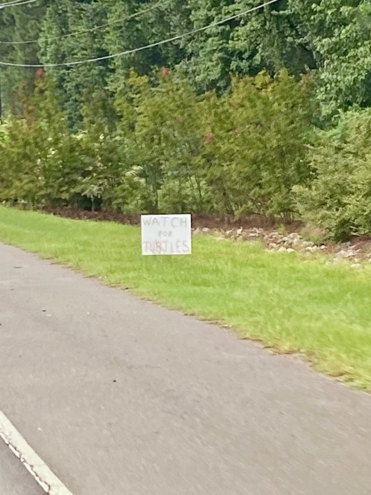 7.24.20 watch for turtles